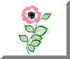 Anemone_Mad2.jpg (27022 octets)