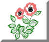 Anemone_Mad4.jpg (40366 octets)