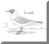 La_mouette-1.jpg (49983 octets)