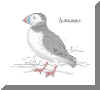 Le_macareux-1.jpg (59631 octets)