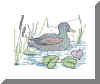 RS_Colvert.jpg (96921 octets)