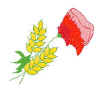 coquelicot.jpg (18638 octets)