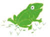grenouille.jpg (17901 octets)