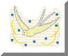 oiseauBlanc01couleurs.jpg (16449 octets)